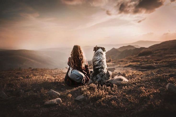 Acompañamiento veterinario integrativo para perros